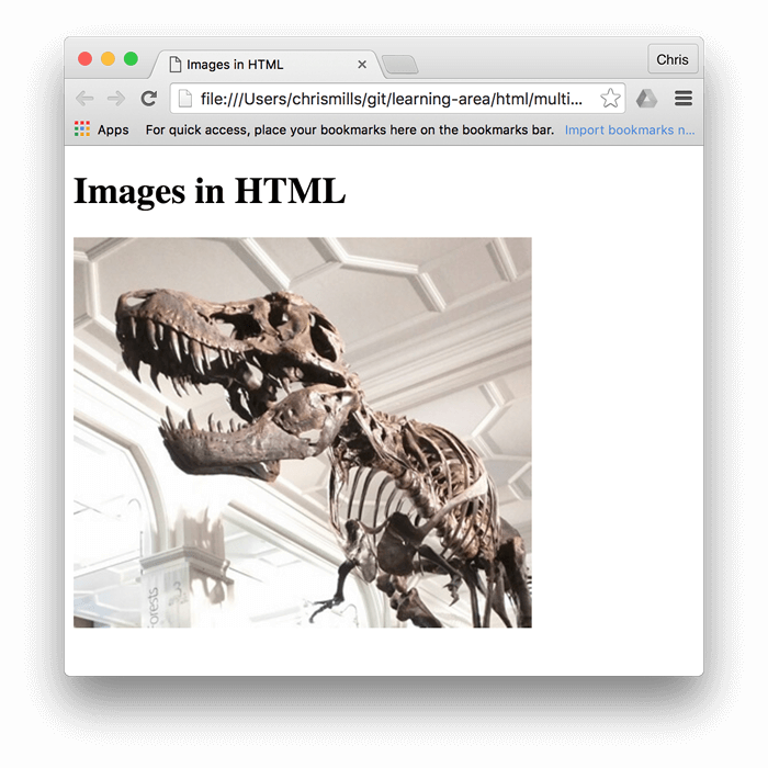恐竜の基本的な画像が、ブラウザーに埋め込まれ、その上に "Images in HTML" と書かれています