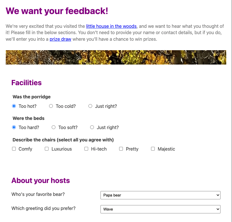 Das fertige Beispiel für die Herausforderung; ein Feedback-Formular, das zwei Gruppen von Radio-Buttons, eine Gruppe von Kontrollkästchen und zwei Dropdown-Auswahlmenüs zeigt