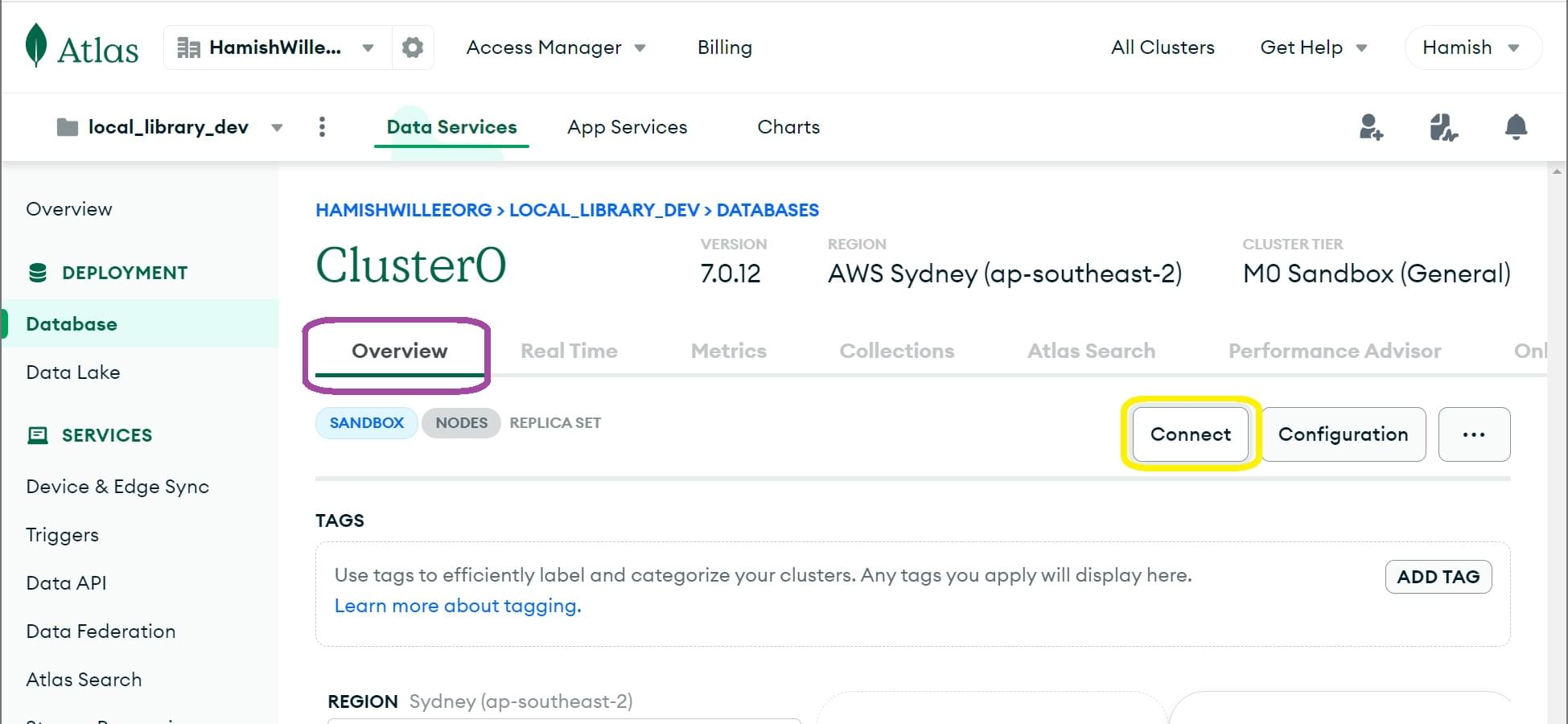 Konfigurieren Sie die Verbindung, nachdem Sie ein Cluster in MongoDB Atlas eingerichtet haben.