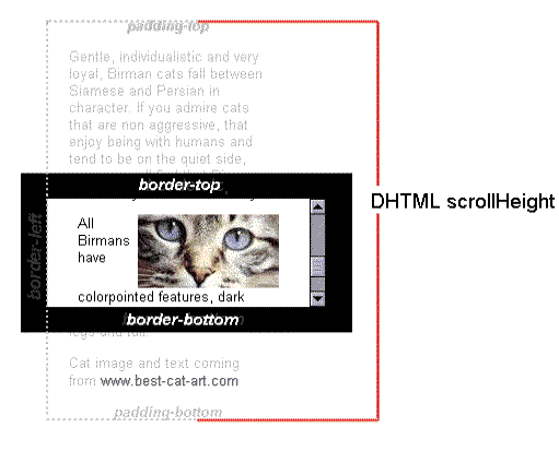 Die Benutzeransicht ist ein Element mit vier Bereichen, die als padding-top, border-top, border-bottom, padding-bottom bezeichnet sind. Die scroll height reicht vom padding-top des Containers bis zum Ende des padding-bottom, weit über den oberen und unteren Rand der Ansicht hinaus.