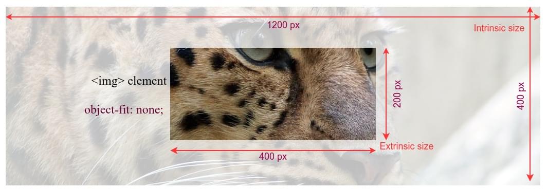 Ein Bild, das extrinsische und intrinsische Bildgrößen zeigt; der mittlere 400 x 200 Abschnitt eines viel größeren 1200 x 400 Bildes ist in dem 400 x 200 Viewbox sichtbar, das die Größe des Elements darstellt, das das Bild anzeigt.