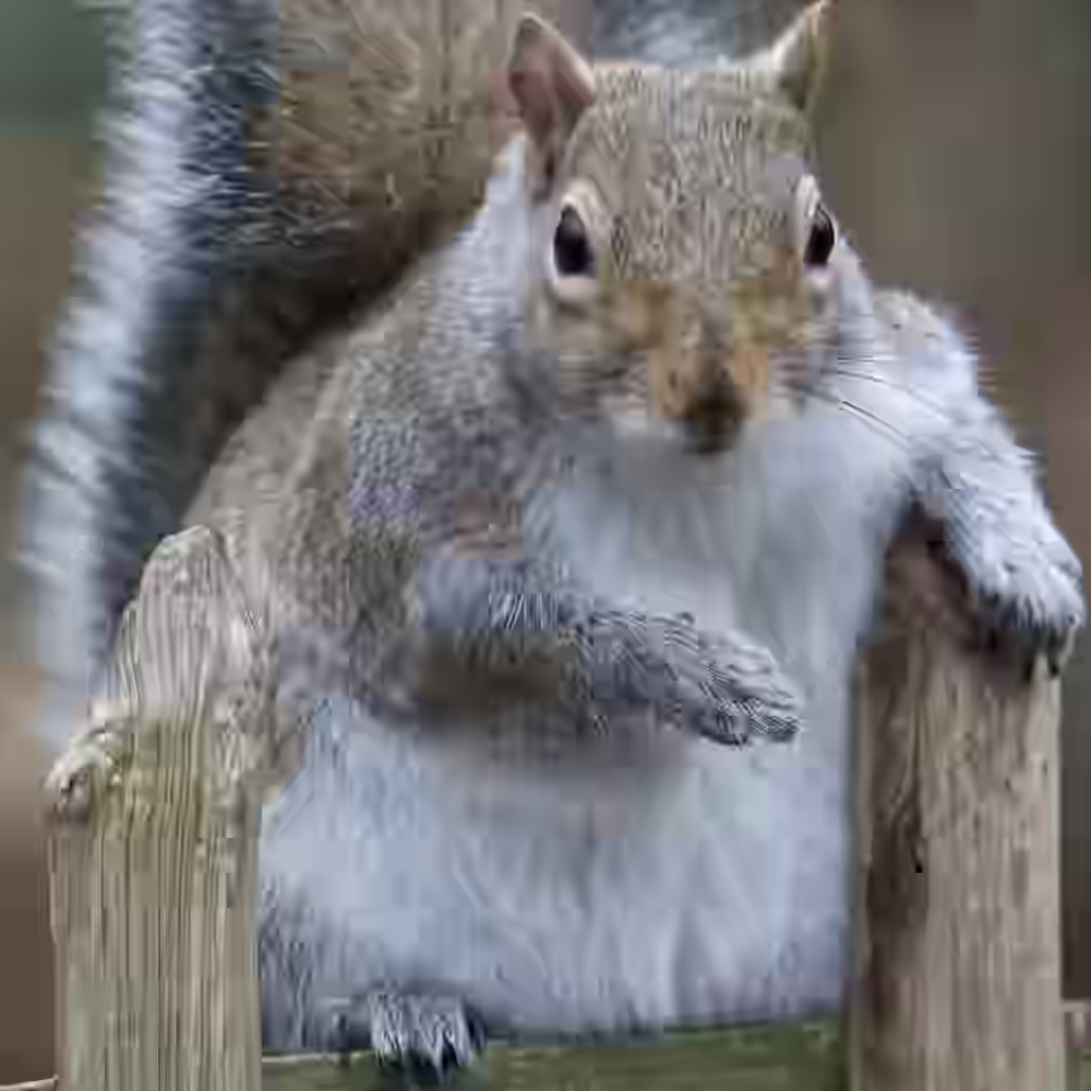 A very low-quality close-up of a gray squirrel sitting on a wooden fence.