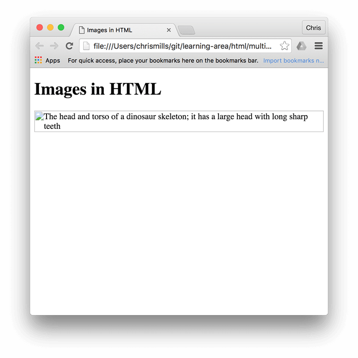 HTML başlığındaki Resimler, ancak bu sefer dinozor resmi görüntülenmiyor ve onun yerinde alternatif metin var.