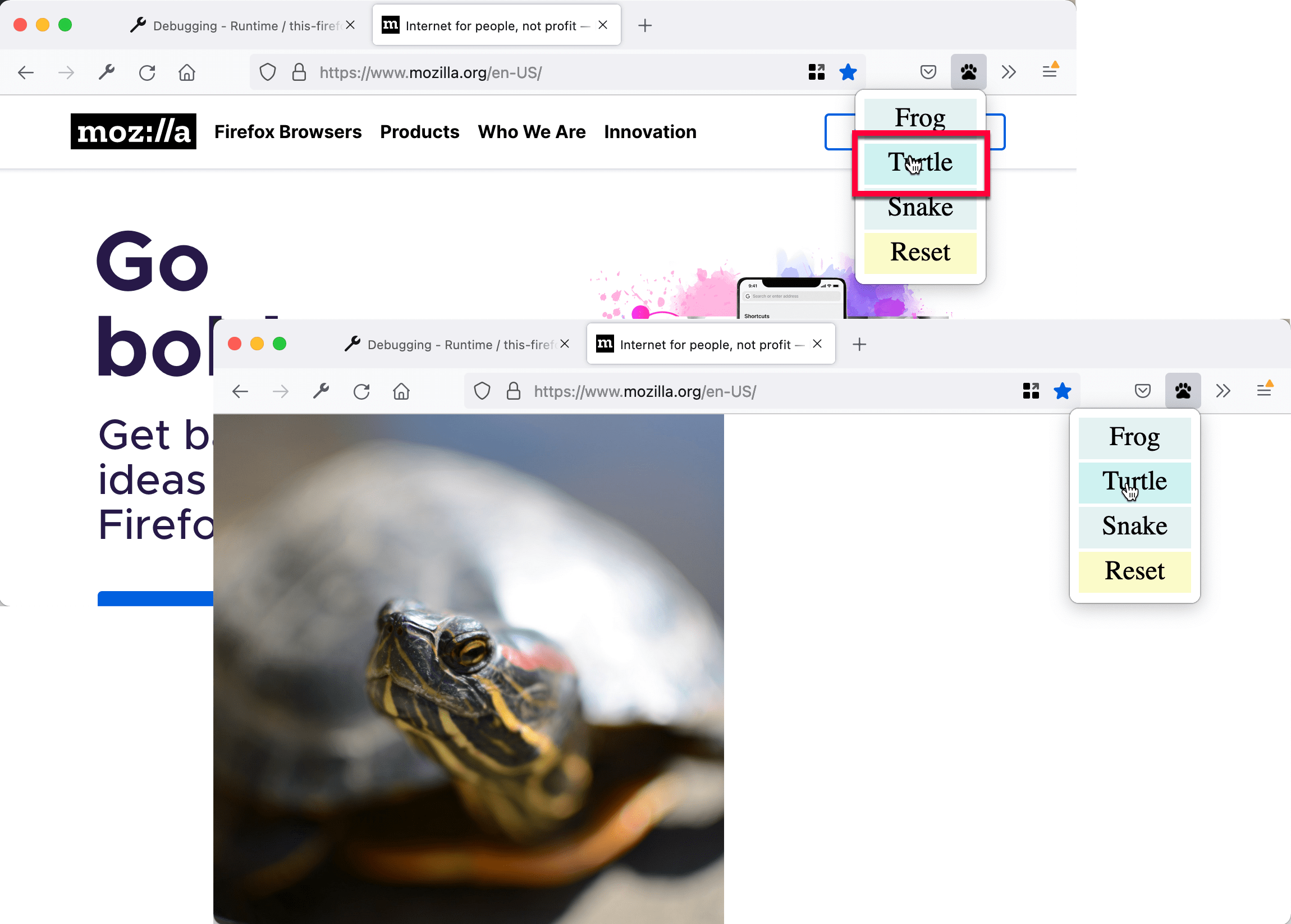A page replaced with the image of a turtle