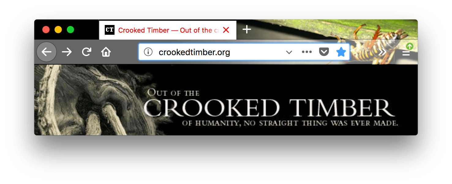 Browser firefox has a picture of an insect theme. URL bar is lighter grey with white icons. The selected tab text is red with white background.
