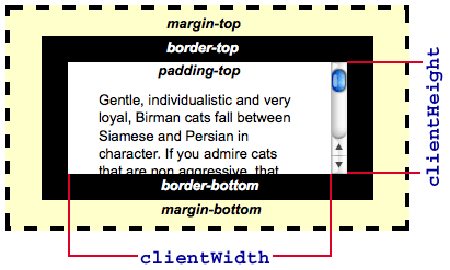 How the clientWidth and clientHeight properties are determined, considering padding, borders, and margin sizes