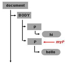 在 DOM 树中，一个段落元素作为一个新的子节点被添加到一个现有的段落中。