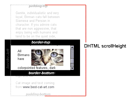 The user's viewport is an element with four regions labeled padding-top, border-top, border-bottom, padding-bottom. The scroll height goes from the container's padding top to the end of the padding bottom, well beyond the top and bottom of the viewport.