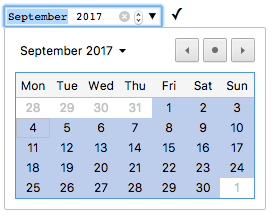 Month control on Chrome browser