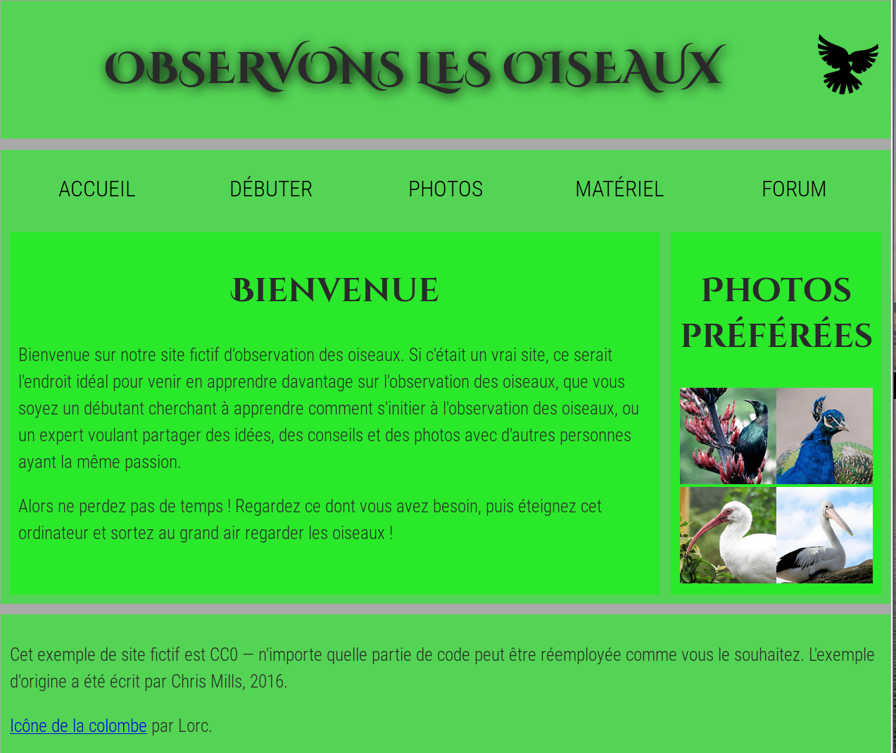L'exemple de l'exercice complété ; une page web unique sur l'observation des oiseaux, comprenant un en-tête "Observons les oiseaux", des photos d'oiseaux et un message de bienvenue.