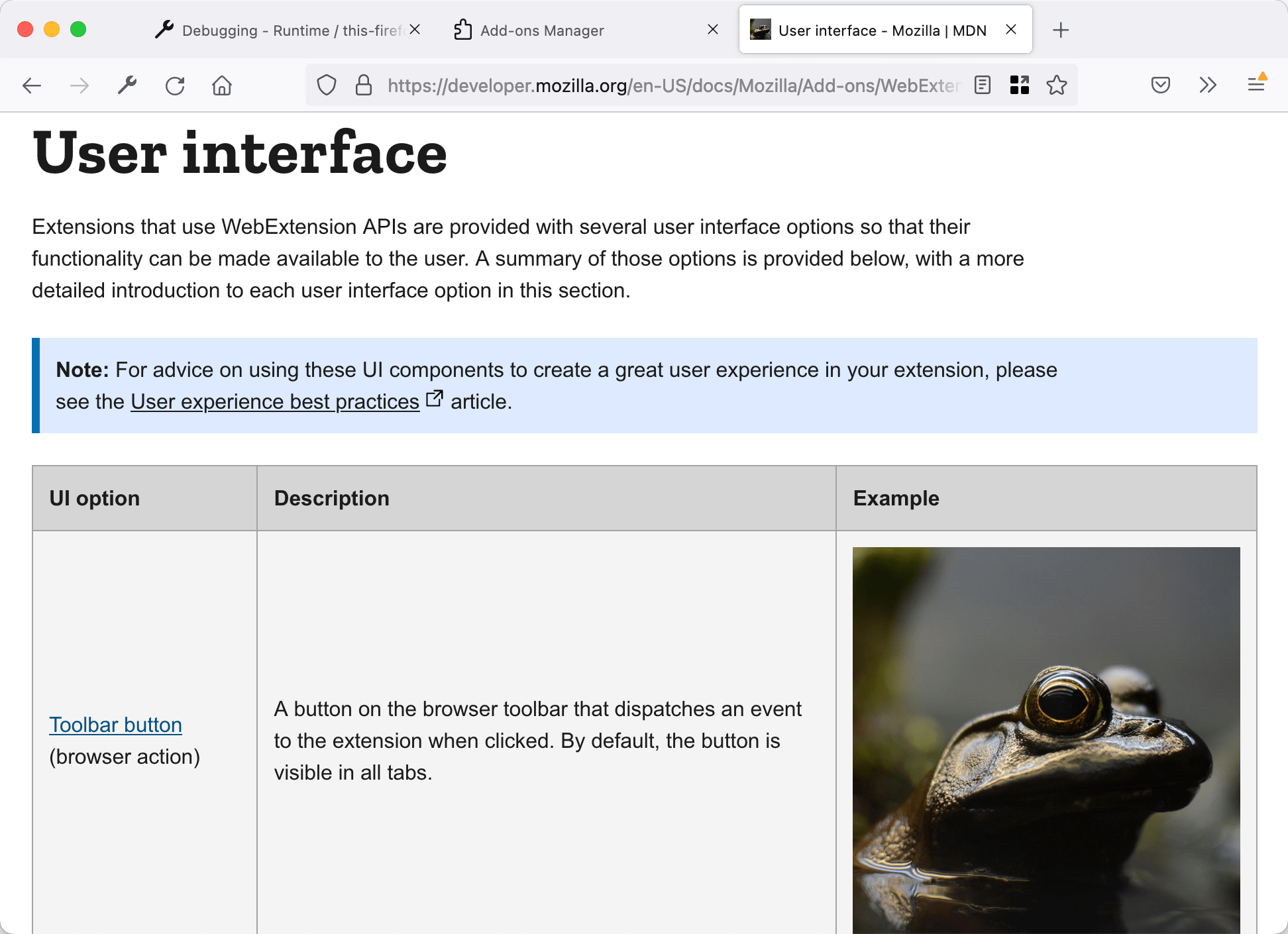 Les images sur la page ont été remplacées par une image de grenouille