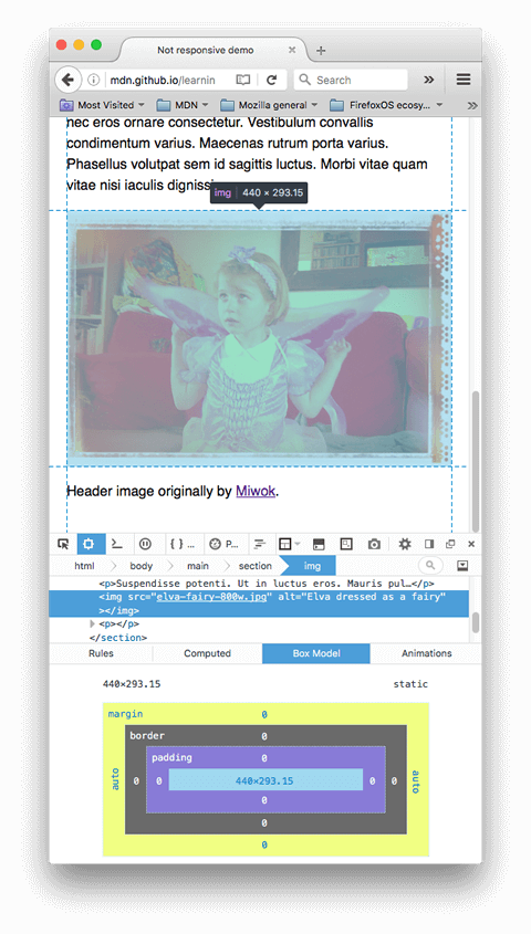A screenshot of the firefox devtools with an image element highlighted in the dom, showing its dimensions as 440 by 293 pixels.