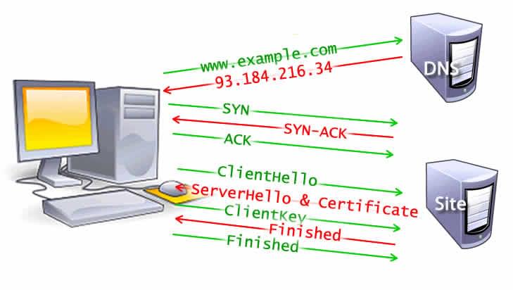 The DNS lookup, the TCP handshake, and 5 steps of the TLS handshake including clienthello, serverhello and certificate, clientkey and finished for both server and client.